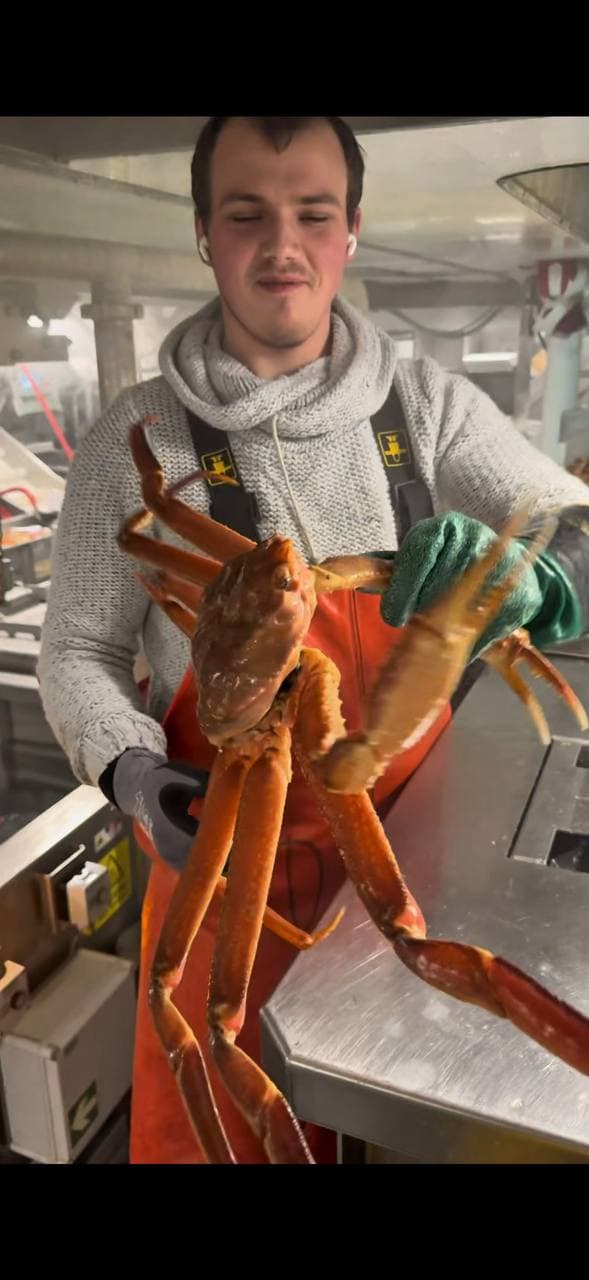 Краболовы в Норвегии 2026: сколько реально зарабатывают